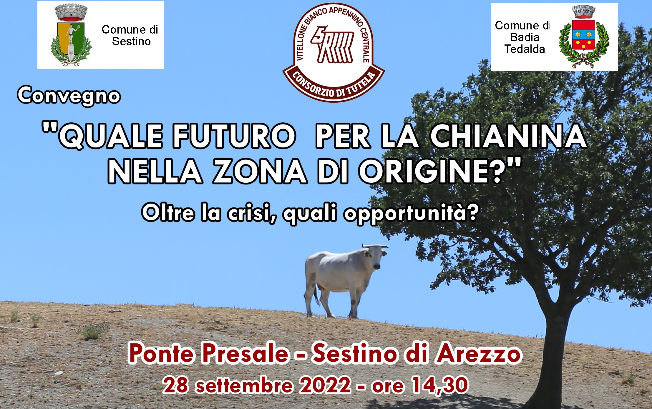 Convegno Quale futuro per la chianina nella zona di origine